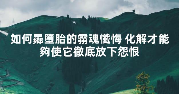 如何曏墮胎的霛魂懺悔 化解才能夠使它徹底放下怨恨